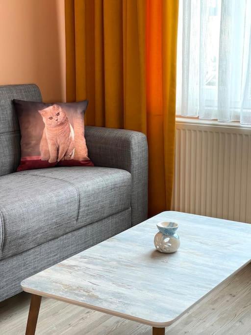 Newly Furnished Flat @sultanahmet @hagiasophia Daire *